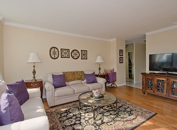 4th image of 1460 N Sandburg Ter APT 2403