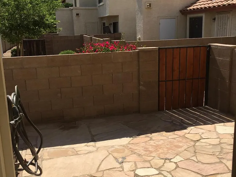 Backyard