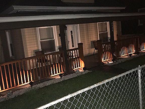 5th image of 2428 Hanover Ave NW