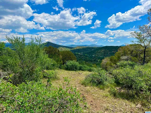 2XX Xyz Ranch Rd, Silver City, NM 88061