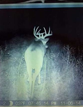 4th image of 19796 Orange Trl