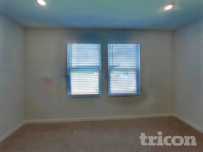 56 Brazil Nut Cir — Photo 8