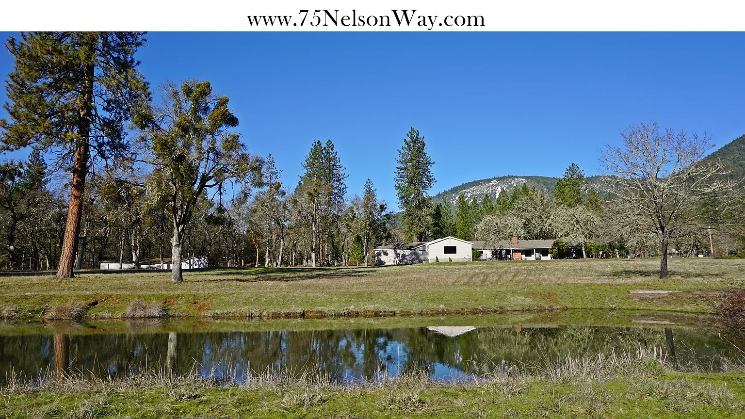 179 Hoffman Way photo 1