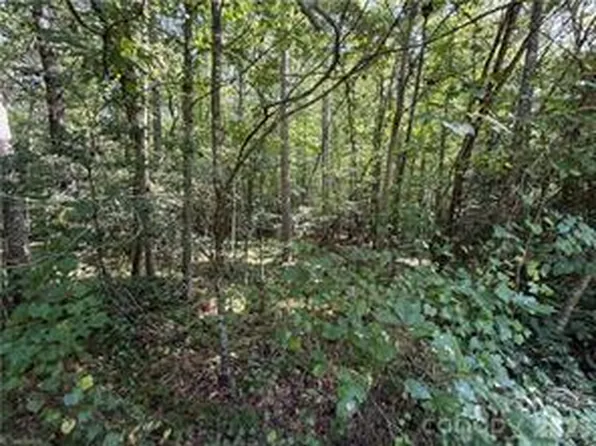 20 & 21 Zinzendorf Ln, Moravian Falls, NC 28654