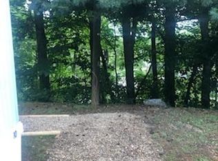 10 Ross Mintz Rd, Candler, NC 28715