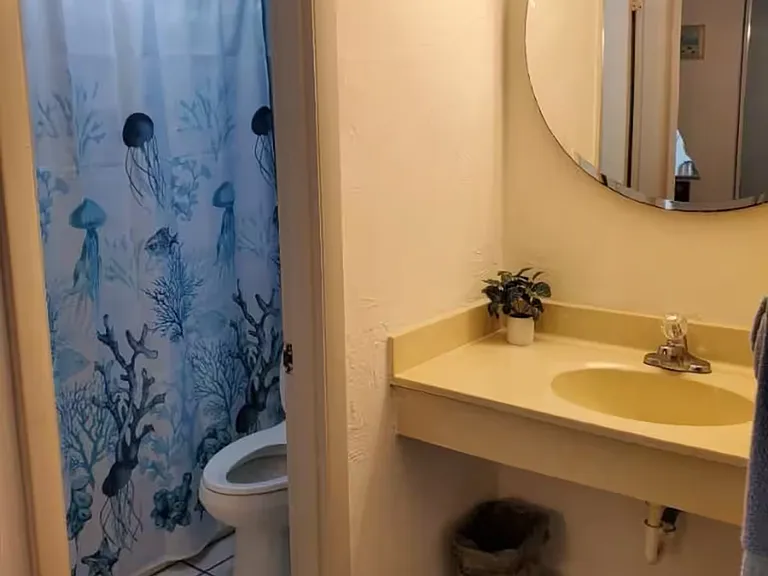 313 S Atlantic Ave #316 — Photo 6