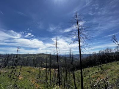 7590 Zenia Lake Mountain Rd, Zenia, CA, 95595