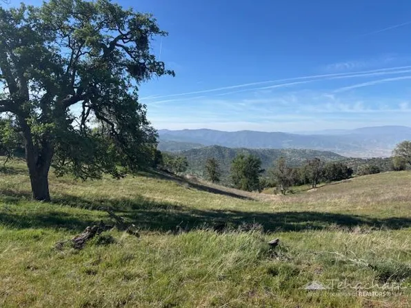29350 Skyline Dr #206, Tehachapi, CA 93561