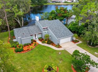 3126 Harvest Moon Dr, Palm Harbor, FL 34683