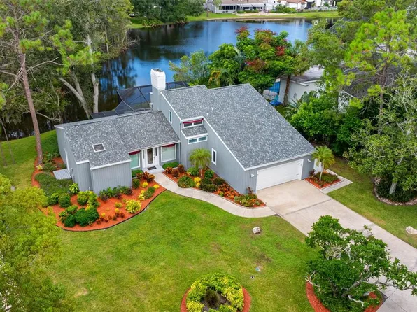 3126 Harvest Moon Dr, Palm Harbor, FL 34683