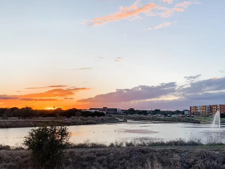 Pond in neighborhood