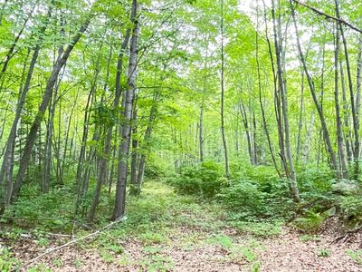 4693 E Cherokee Ln #E, Rhinelander, WI, 54501
