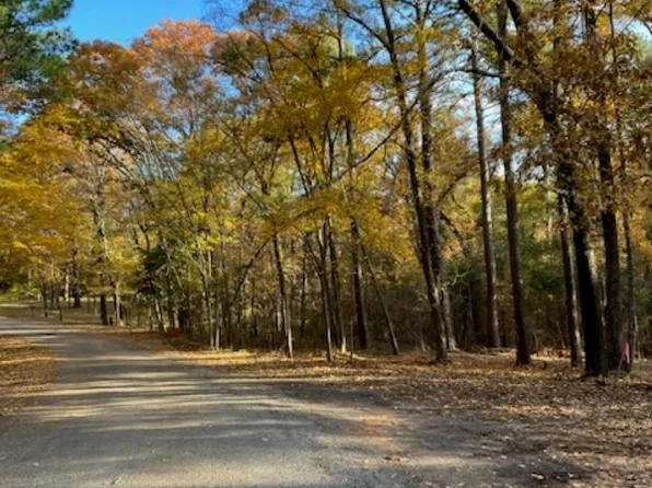 18060 Meandering Way, Flint, TX 75762