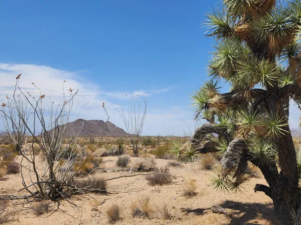 800 E Sagebrush Dr, Yucca, AZ 86438