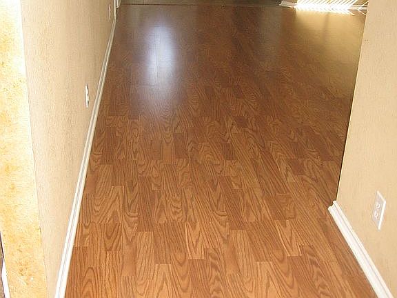 4th image of 4958 Ancient Elm