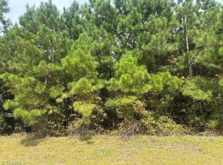 New Tract Belford Church Rd #15, Jackson Springs, NC 27281