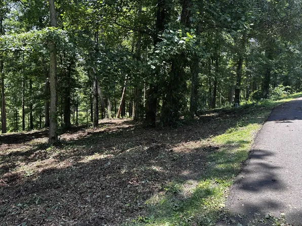 196 Fairway Cir Lot 36, Loretto, TN 38469
