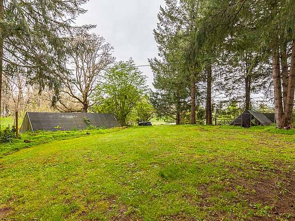 a frame mushrooms right now