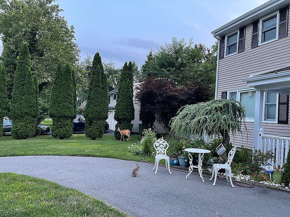 2nd image of 11 Dale Dr