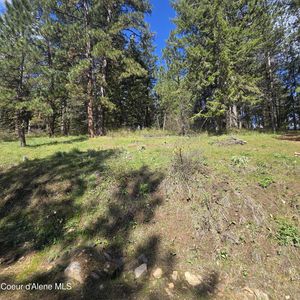 Nka Iron Mountain Ln, Desmet, ID, 83824