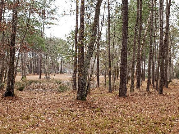 3rd image of 876 Southern Plantation Drive N LOT 214