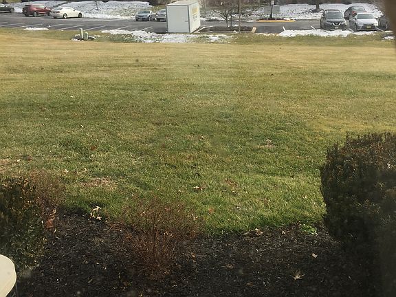 Backyard View from LR