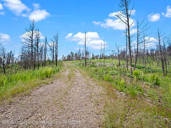 5th image of 111 Tall Pines Rd