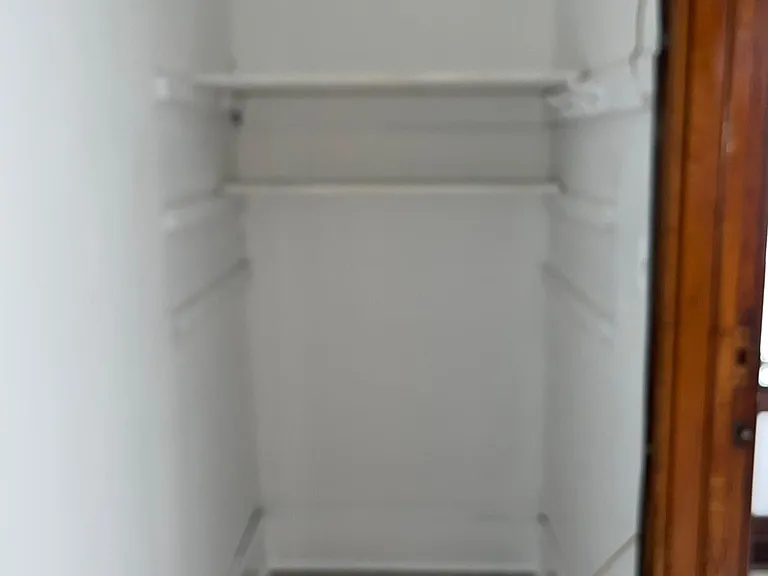 additional storage closet with shelving