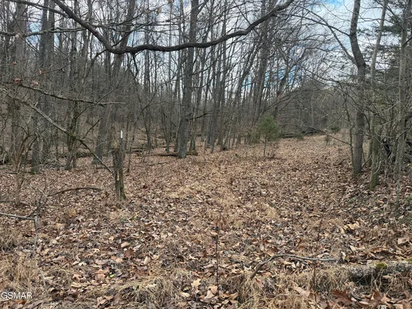 LOT 4 Pilgrim Rd, Dandridge, TN 37725