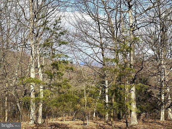 5th image of 44 Bluffs On The Potomac