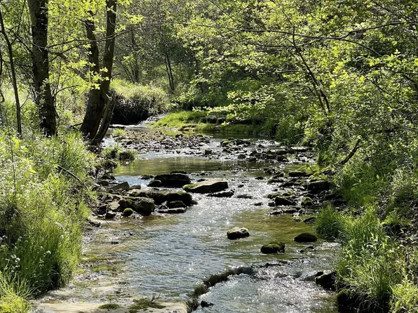 0 Massey Hollow Ln, Dixon Springs, TN 37057