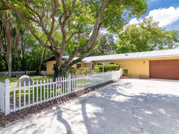 18703 Yocam Ave, Lutz, FL 33549