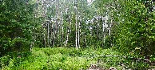 4th image of 005-005-1 Grendell Road