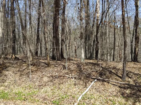 66 Pine Ridge Dr, Hardy, VA 24101