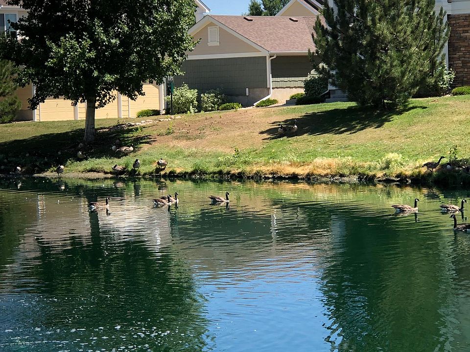 One of several ponds
