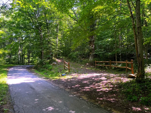 Leonard Long Rd, Renick, WV 24966