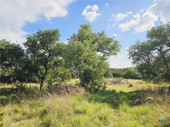 100 Reavis Dr, Kempner, TX 76539