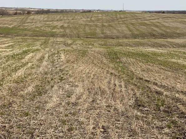 H Highway & 415th St, King City, MO 64463