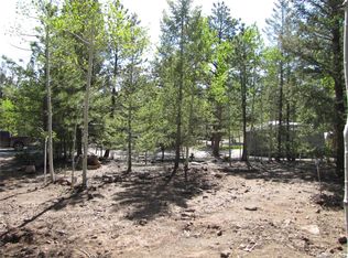 77 Pullman Loop LOT 63, Hartsel, CO 80449