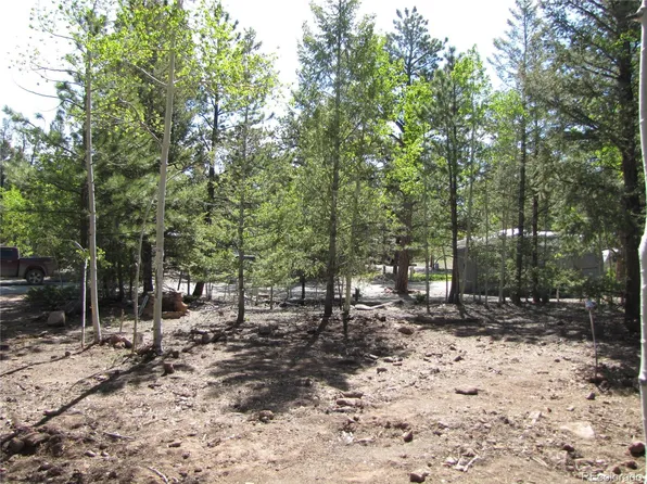 77 Pullman Loop S & N Lot 63, Hartsel, CO 80449
