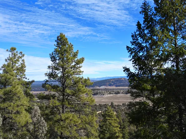 0 Gretchen Dr #1-lot 40, Tierra Amarilla, NM 87575