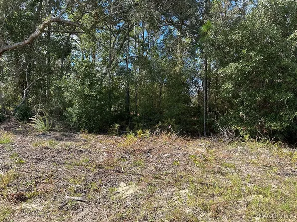 663 W Homeway Loop, Citrus Springs, FL 34434