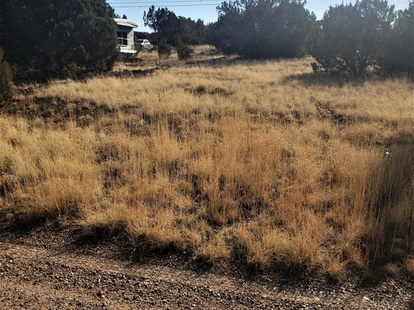 8437 Ortega Dr, Show Low, AZ 85901