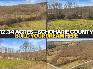 L9111 Lutheranville Rd, East Worcester, NY 12064