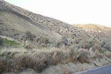 2nd image of 1546 Pitcher Canyon Rd