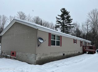 45 Davis Rd, Pottersville, NY 12860