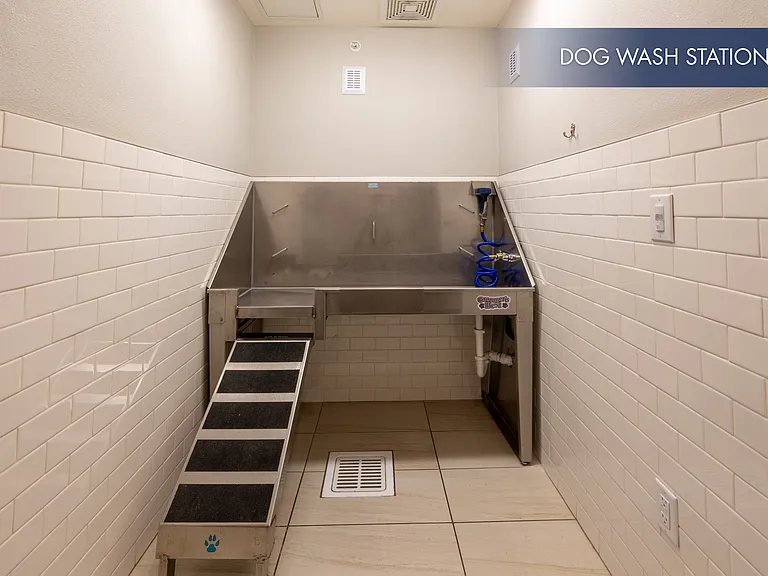 Pet Wash