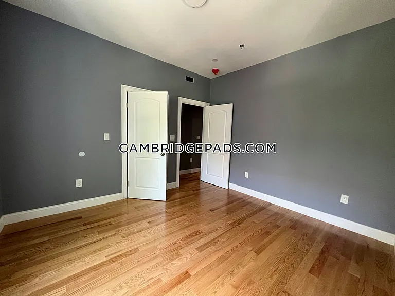 341 Cambridge St #3 — Photo 9