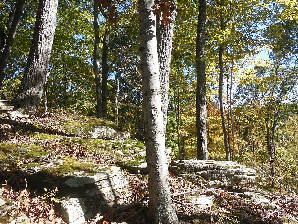 55th image of this home