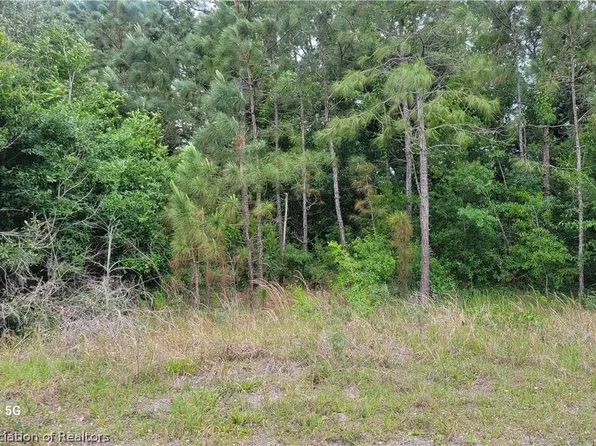 106 Circle Ct NE, Lake Placid, FL 33852